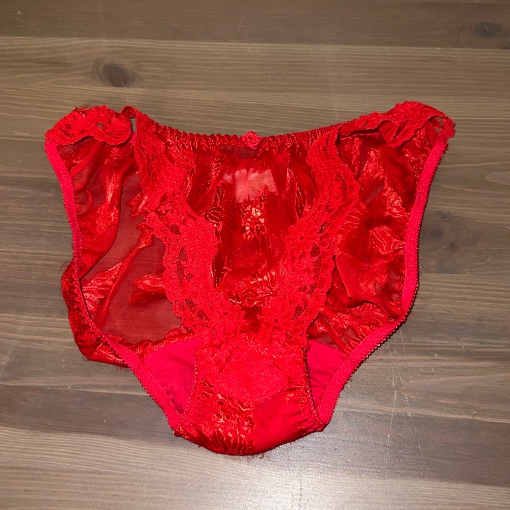 VS vintage rose lace bikini